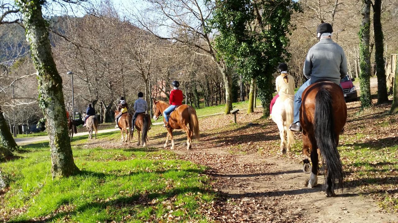 Cabanas Ecoparque Marín المظهر الخارجي الصورة